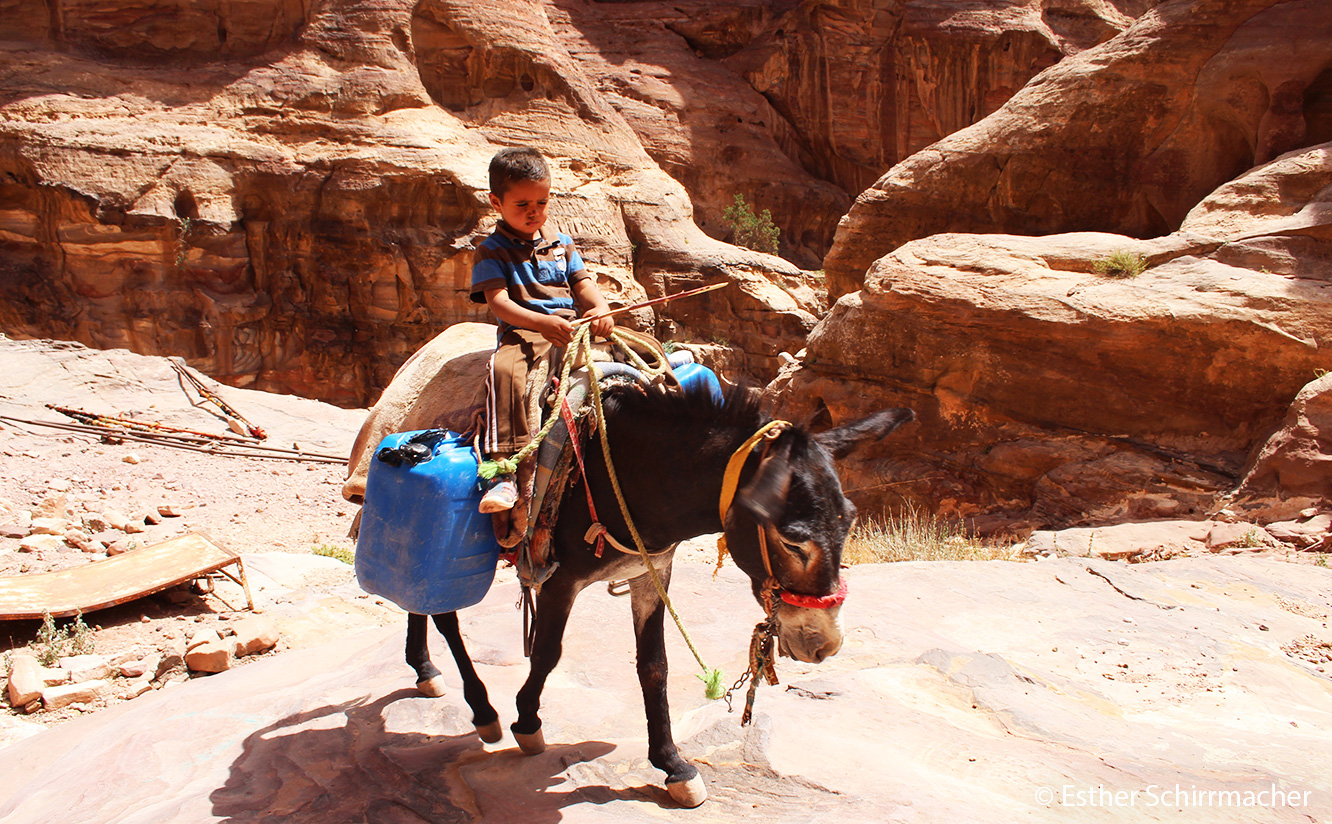 Ein Ausflug nach Petra: Esel-Reiten in Petra
