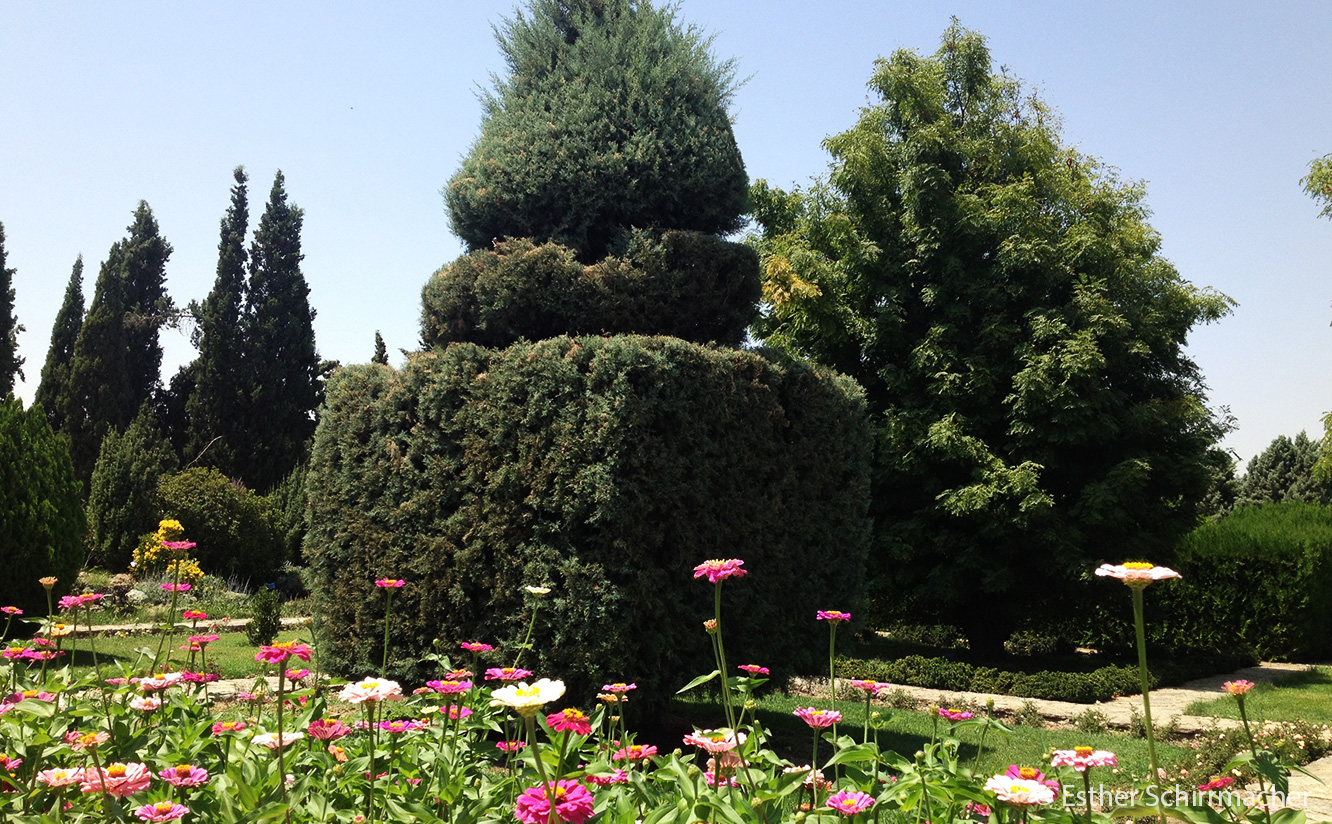 Eine Reise in den Iran: Der botanische Garten