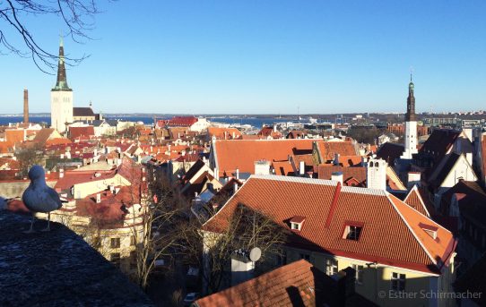 Urlaub in Estland – Auf den Spuren der Hansestadt Tallinn