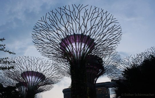 1 Woche Singapur – Highlights, Tipps und Fun Facts