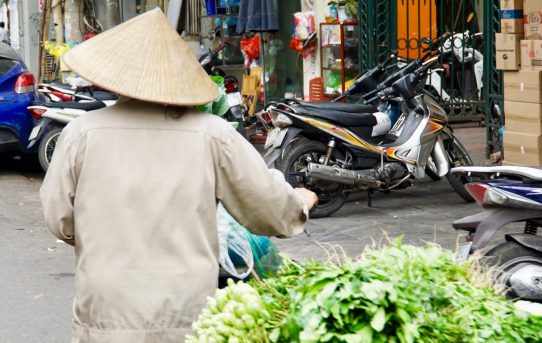 Meine Rundreise durch Vietnam – 2.000 Kilometer von Saigon (Süden) bis nach Hanoi (Norden)