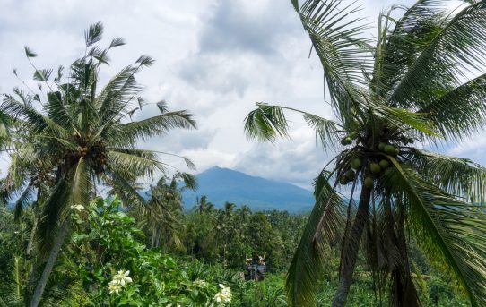 4 Wochen lang Indonesien erkunden – Meine Reiseroute von Jakarta bis Bali