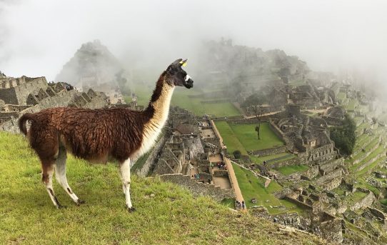 Traumhafte Bilder aus Peru – Machu Picchu hautnah erleben