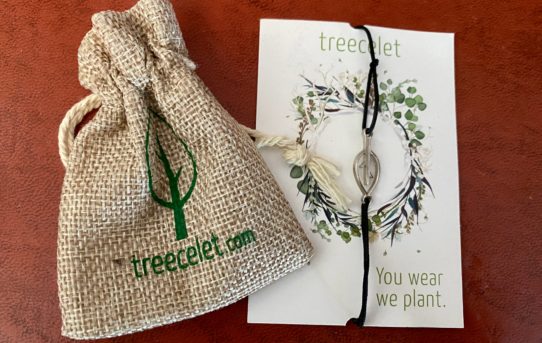 Bäume pflanzen mit Treecelet – 5 Ideen, um während der Corona-Krise etwas Gutes zu tun